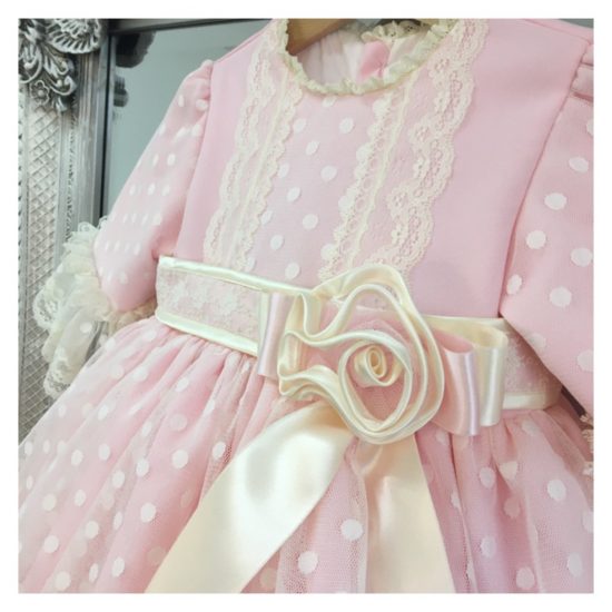 Baby Rose Blossom Dress