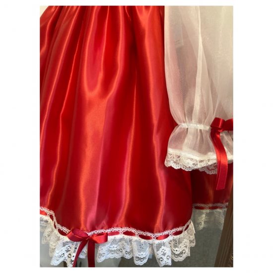 RB Ruffle Bib Organza Dress - Image 3