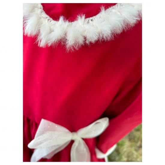 RB Christmas Red Velvet Dress - Image 4